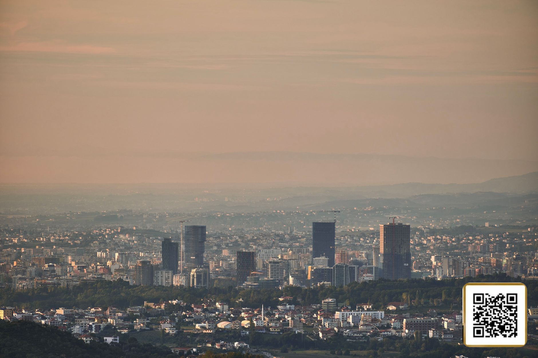 Green Initiative: 1,000 Trees for Albania