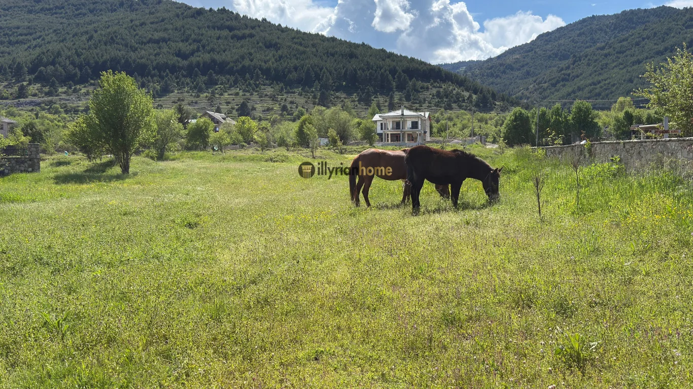 Exclusive land for sale in Voskopojë, Korçë - Image 3