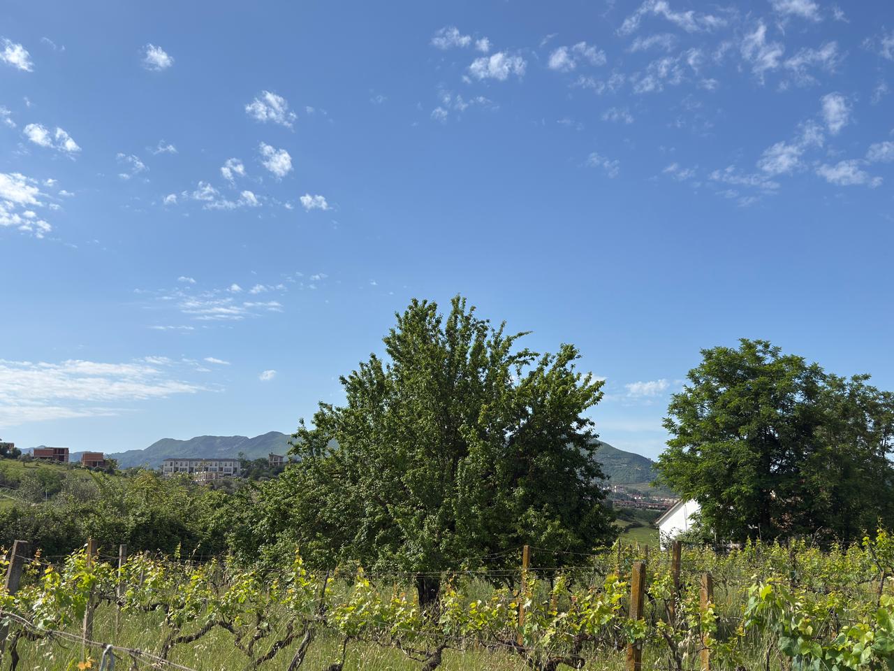 Land for sale in Farkë e Vogël – Quiet and High-Value Area in Tirana 6