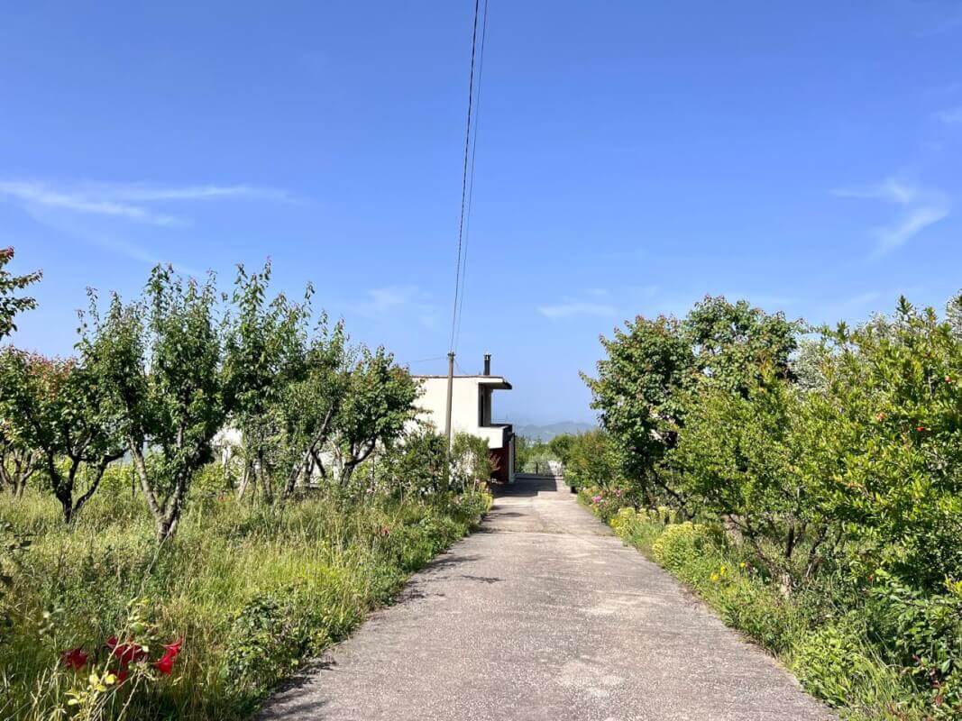 For rent, two-storey villa "Priskë e madhe", Tirana 5